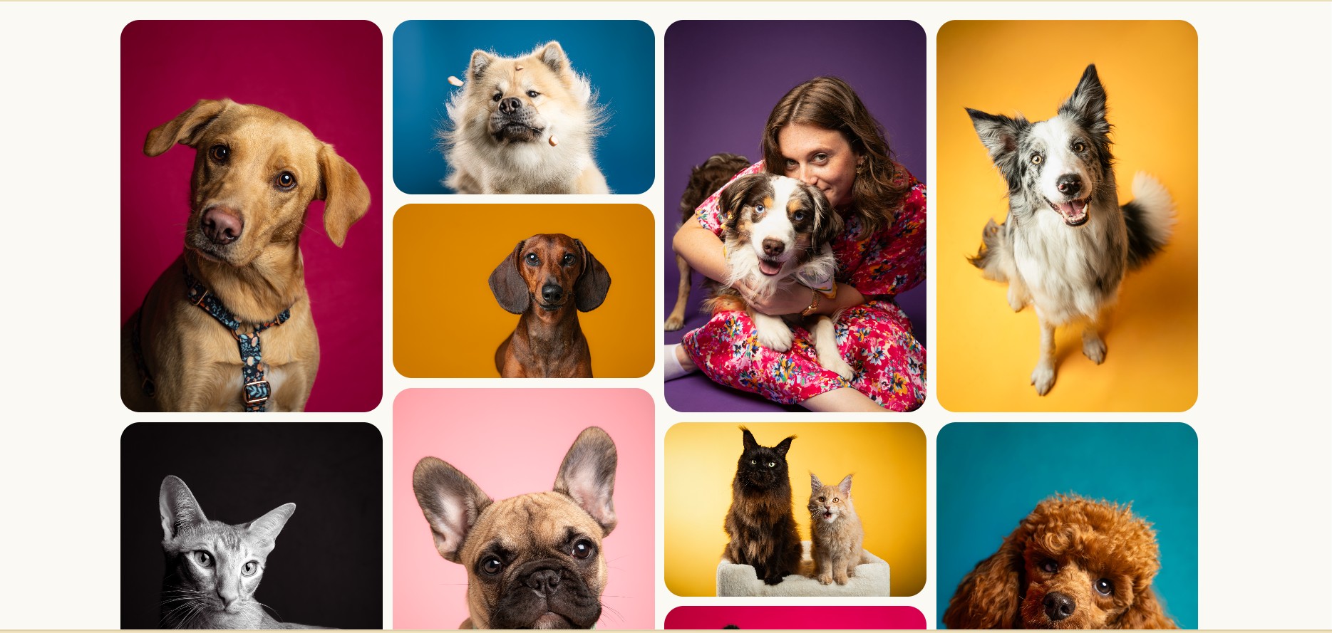 galerie photos de chiens