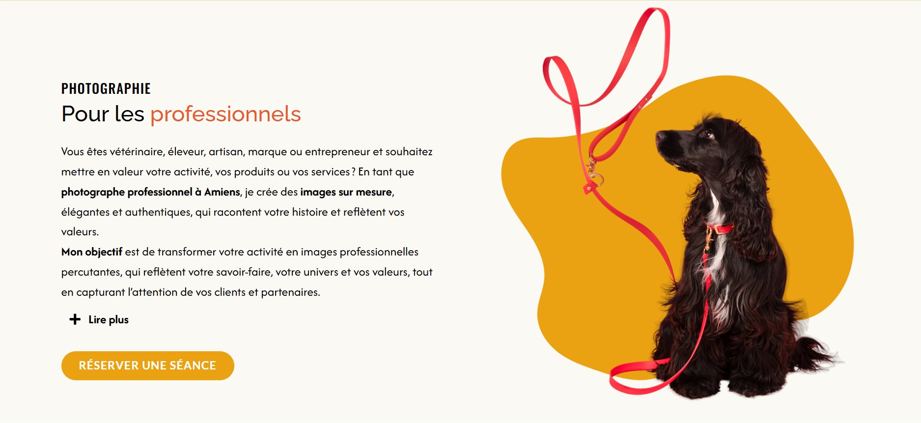 chien avec sa laisse